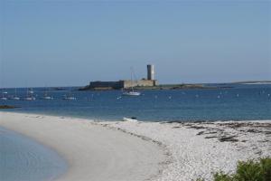 Camomile and little Camomile on the beach