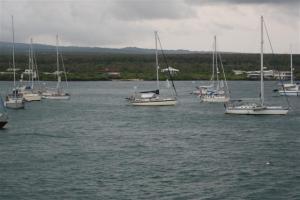 Camomile was still where we had left her