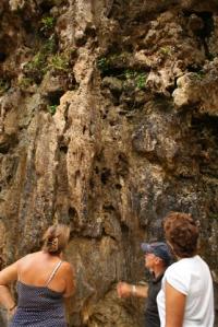 Learning geology with Dave