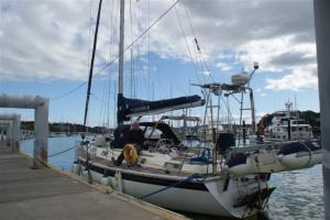 Camomile on the Q dock Camomile on the Q dock