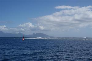 Tahiti reef