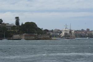 The Soren Larsen won the Tall Ships race