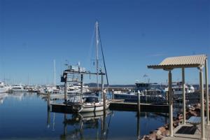 Camomile on the wharf at Port Stephens