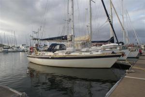 Camomile ready to go