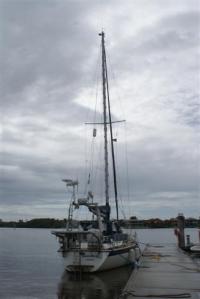 Camomile dinghy-less