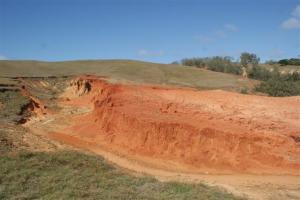 Red soil of the landslip
