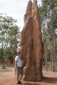 Bill next to a termite mound