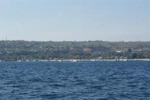 The Kupang fishing fleet