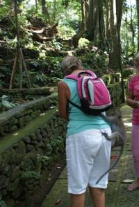 The monkey started climbing up me.