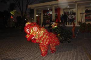 Chinese dragon dancing