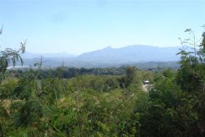 View from the top of the hill