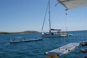 Norsa being 'rescued'