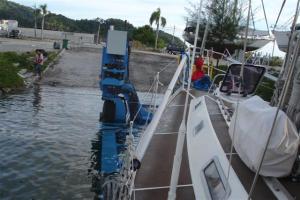 Camomile being lifted