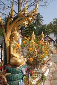 Beautiful Buddha in the grounds