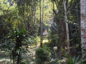 Buddha on the hill at the entrance to the cave