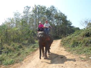 My reward - an elephant ride