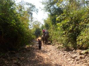The mahout guided her along 
