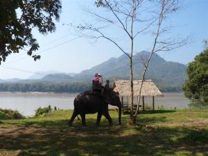 Along the shores of the lake