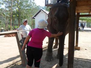 Stroking her leathery skin