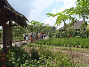 Walking around the fruit farm