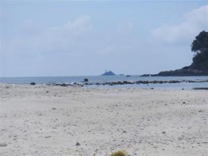 One tree island in the distance