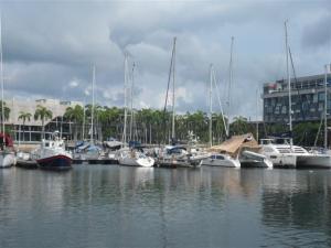 Camomile in Puteri harbour
