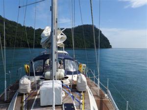 Camomile back in the islands again, where she likes to be.