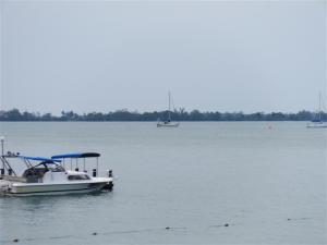 Camomile waiting for us.