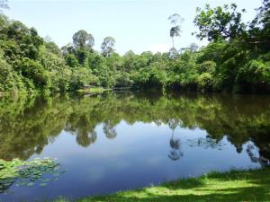 The lake by the gardens