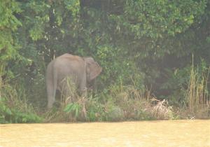 "Cruisers coming, I'm off"