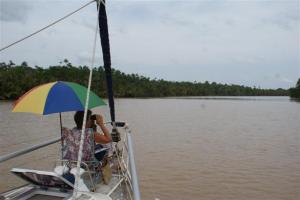 Wildlife spotting on the bow