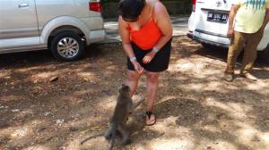 Sonal feeding the monkeys