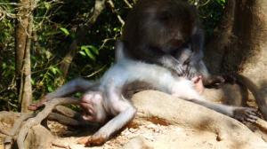 This one seemed to be enjoying himself!!