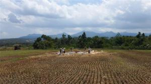 Workers in the field