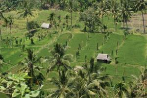 Difficult to capture in one photo