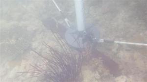 The foot of the leg sitting on the piece of wood