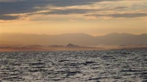 The Sulawesi coastline