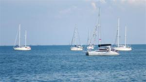 Camomile dressed overall