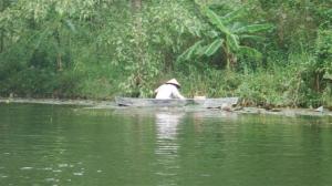 Locals collecting bamboo