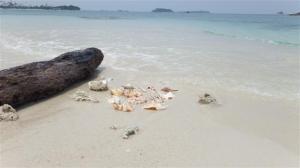 The beautiful beach at Tanjung Kelayang