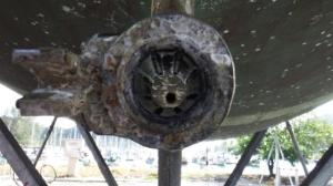 Cutlass bearing inside the P bracket 