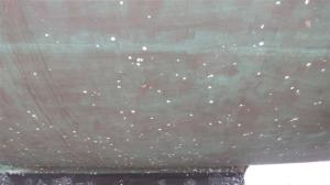 100s and 100s of barnacles 