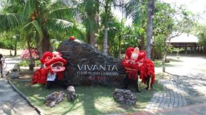Lion dancers at the resort
