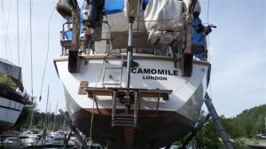 Camomile's beautiful rear