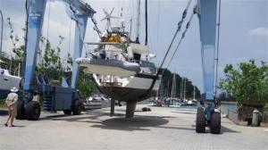 Camomile couldn't wait to get in the water