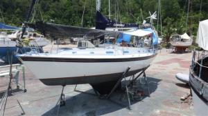 Relaxing on Camomile