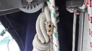 Start of a wasps nest