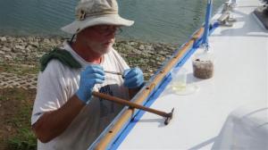 Bill plugging up the holes before the rain came