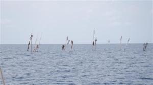 Just sticking out of the water