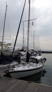 Camomile in Straitsquay marina